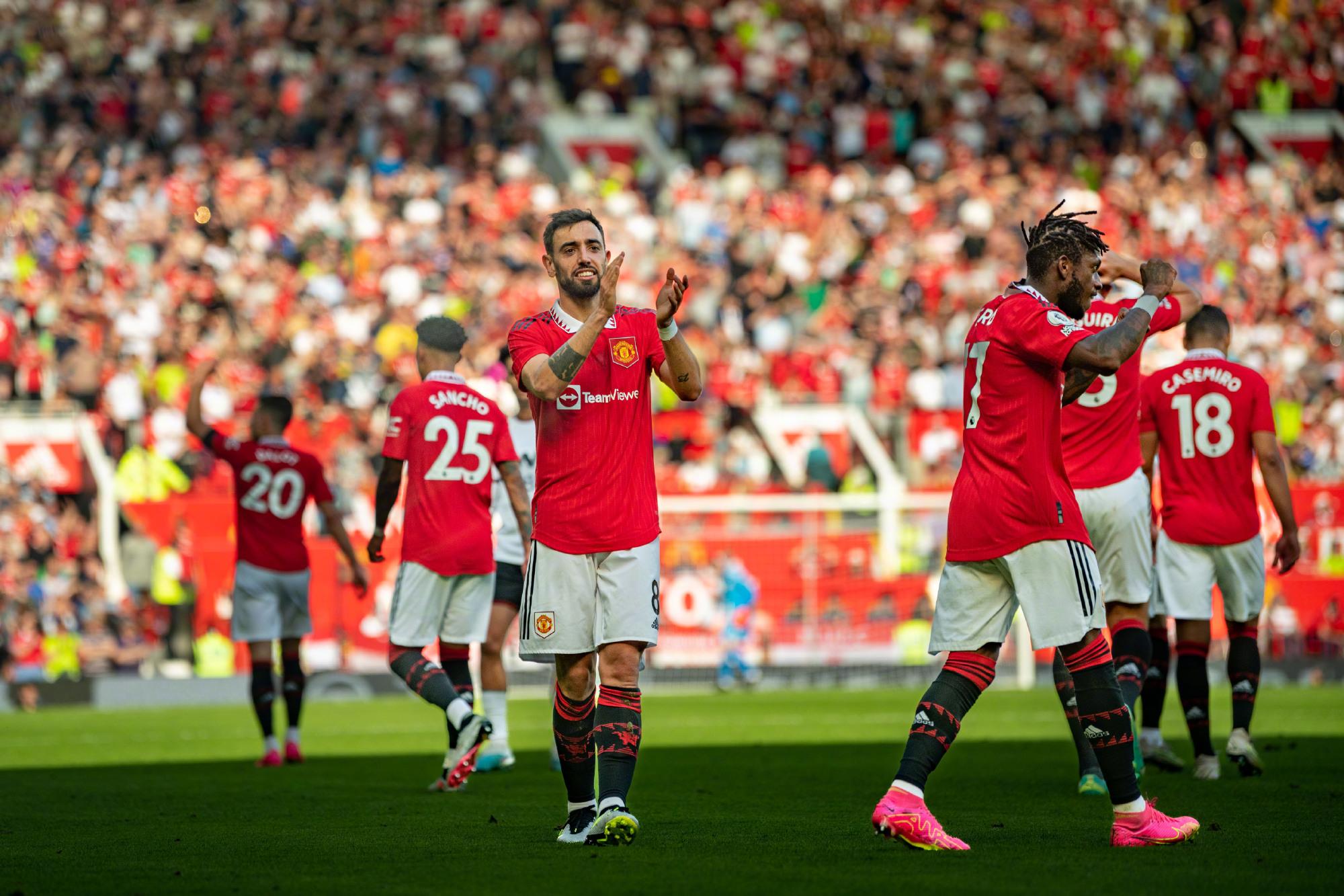 都相信大卫 都相信大卫