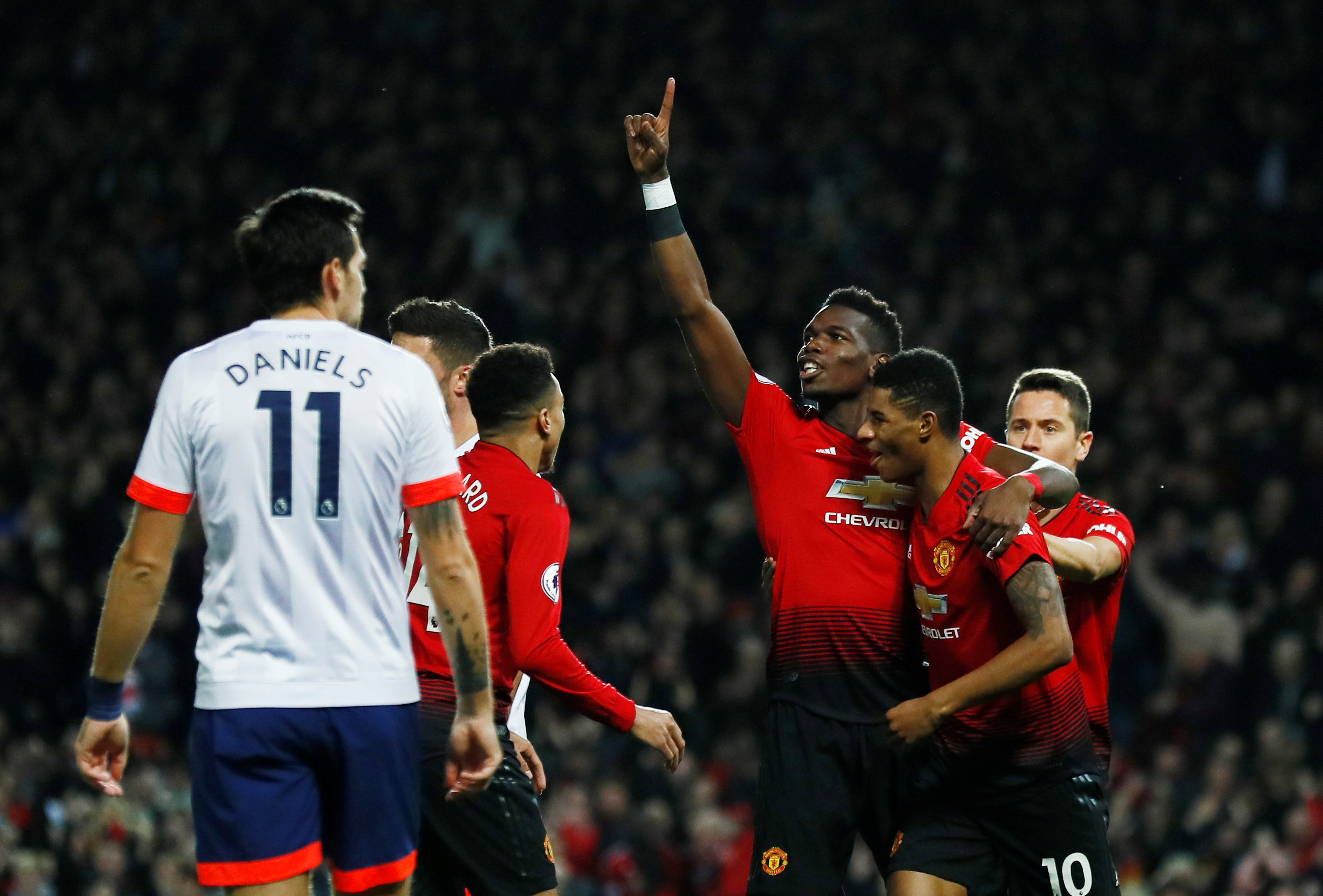 而今年的马 而今年的马