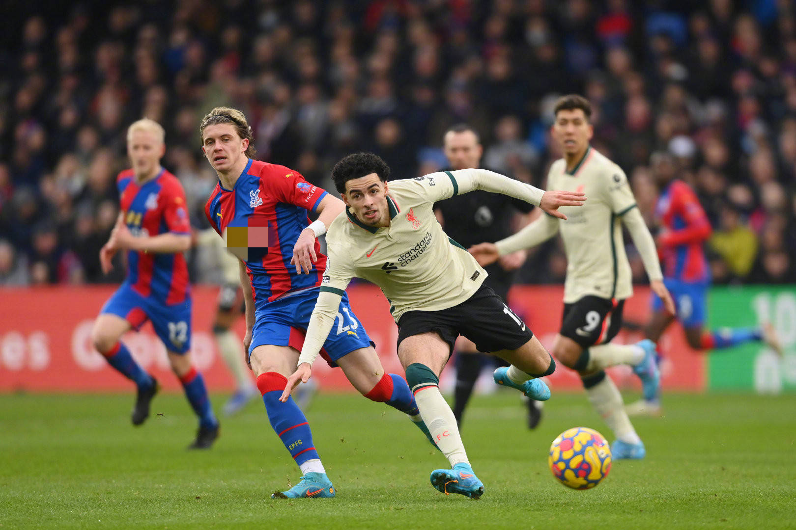 这一案例说 这一案例说