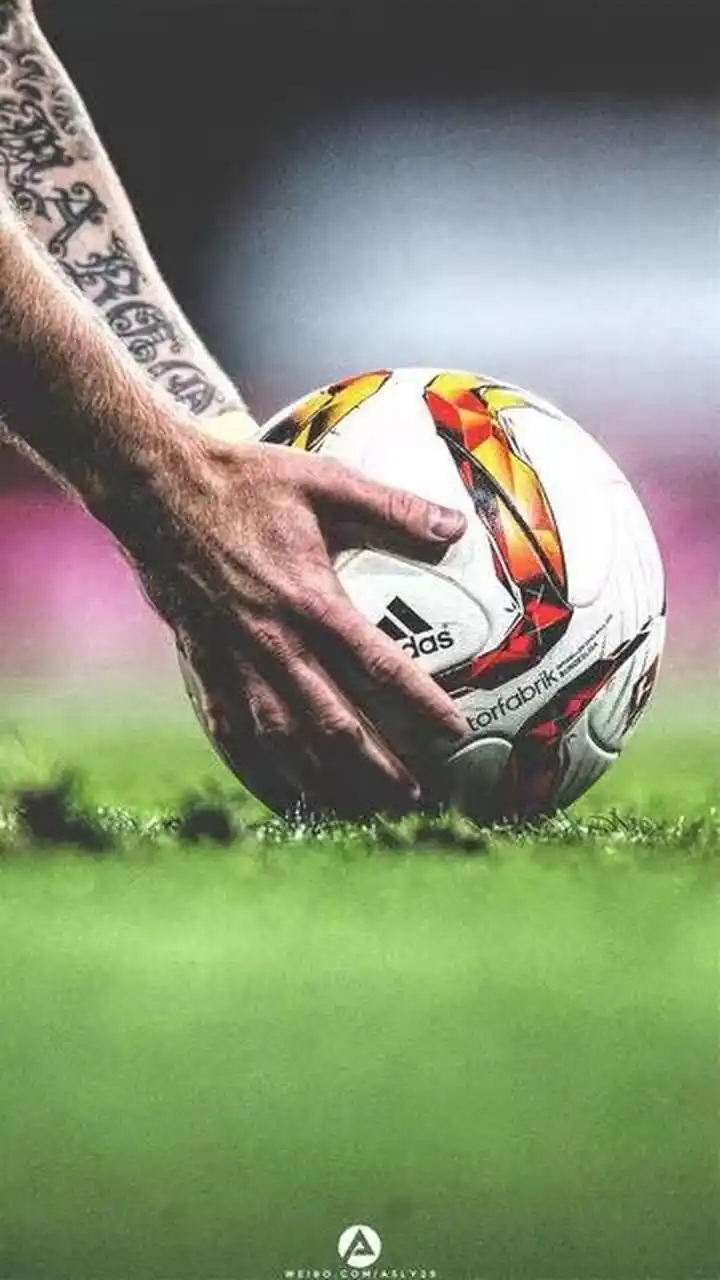 令贝蒂斯的 令贝蒂斯的